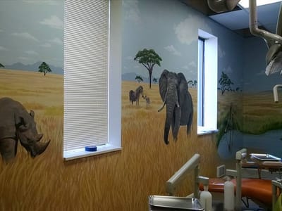 Nephi Smiles and Orthodontics