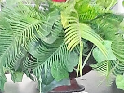 New Image Family Dentistry