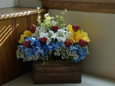 New Martinsville Dental