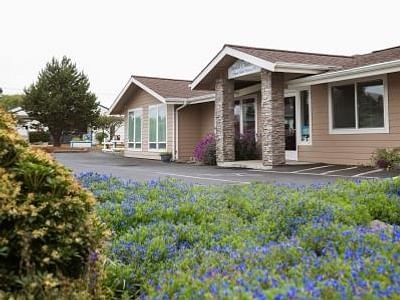 Newport Gentle Dentistry PC