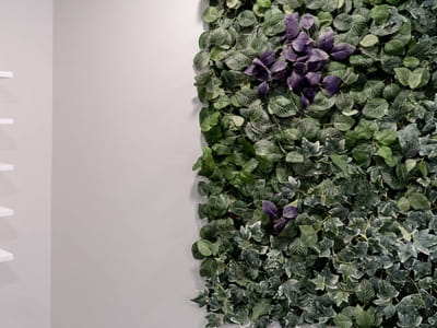 Nine One Dental - Dentist in West Roxbury