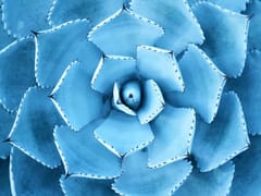 North Phoenix Family Dentistry