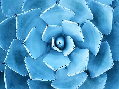 North Phoenix Family Dentistry