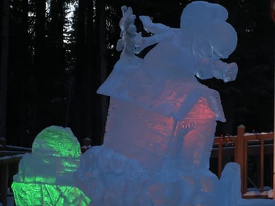 Northern Lights Dental Clinic