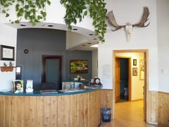 Northern Lights Dental Clinic