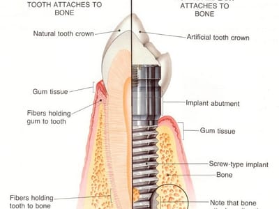 Northpointe Family Dentistry