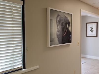 Northside Family Dental Care