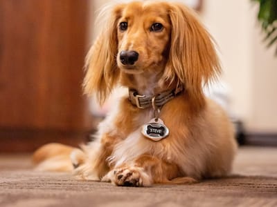 NorthStar Dentistry For Adults