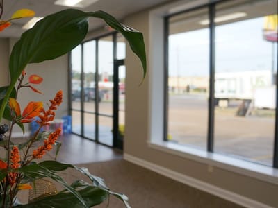 One Smile Dental Group