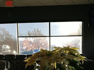 Oral And Maxillofacial Surgeons