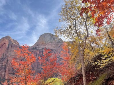 Orem Family Dental: James E Call DMD