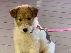 P. Piero DDS Family Dentistry