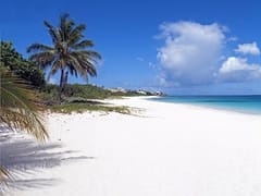 Pacific Family Dental, Inc.