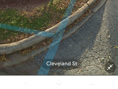 Palmetto Family Dentistry, PA