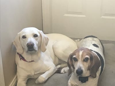 Park View Family Dentistry | Jennifer Larson DDS