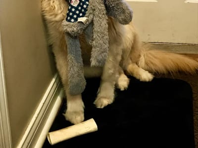 Park View Family Dentistry | Jennifer Larson DDS