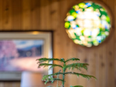 Parkway Family Dental