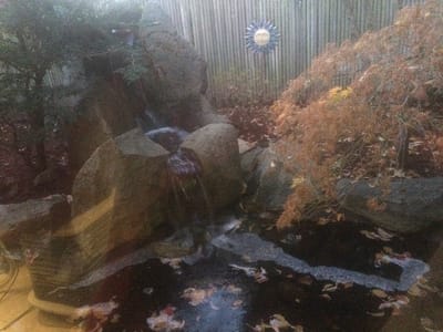 Pear Valley Dental - Rogue River Location