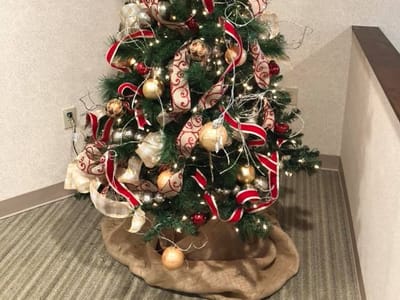 Pebble Creek Family Dentistry