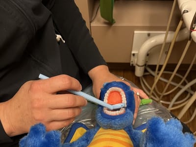 Pediatric Dental Care Associates-Aliante