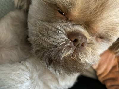 Perfect Smiles Family Dentistry