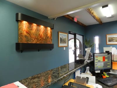 Philip C. Haney DDS MAGD LLC