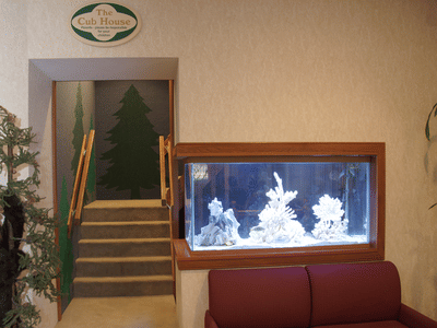 Pine Glen Dental Group