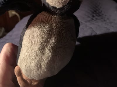 Pleasant Hill Dental Care