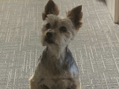 Plymouth General Dentistry