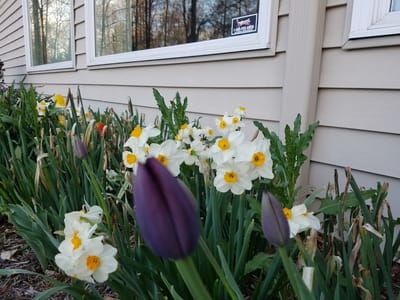 Pocono Pines Dental: John Mann DMD & Irina Melnik DMD