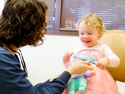Polar Bear Dental Care