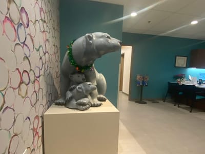 Polar Bear Dental Care