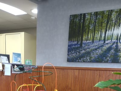 Polished Dental Care