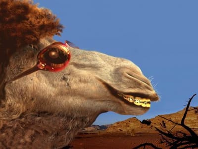 Prestwich Orthodontics