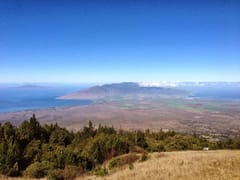 Pure Health Dentistry