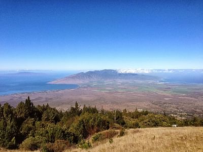 Pure Health Dentistry