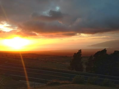 Pure Health Dentistry