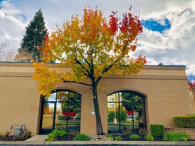 Rachel Barnhart, DDS