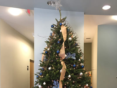 Rebol Family Dentistry