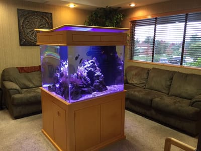 Redding Dental Group, Manjeet Sian, DDS