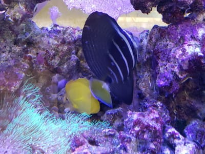 Redmond Ridge Family Dentistry