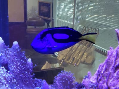 Redmond Ridge Family Dentistry