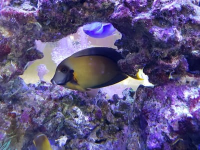 Redmond Ridge Family Dentistry