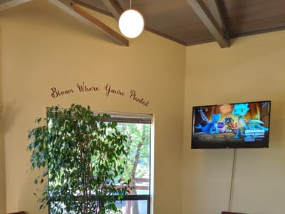 Redwoods Rural Dental Clinic