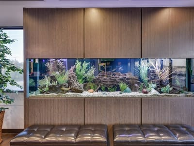 Rio Dental & Orthodontics