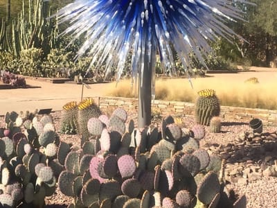 River City Family Dentistry Inc