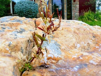 River Rock Dental Group