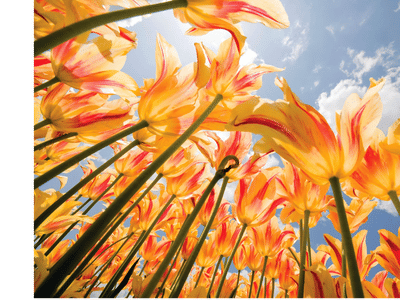 Roberts & Hall Dentistry