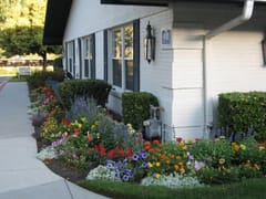 Ronald G. Wilkins DDS General & Restorative Dentistry