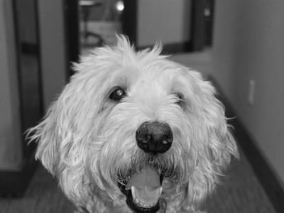 Rose Hill Family Dentistry